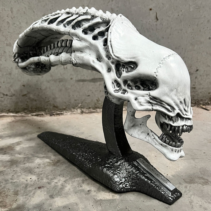 Predator 2 Trophy Room Xenomorph Skull