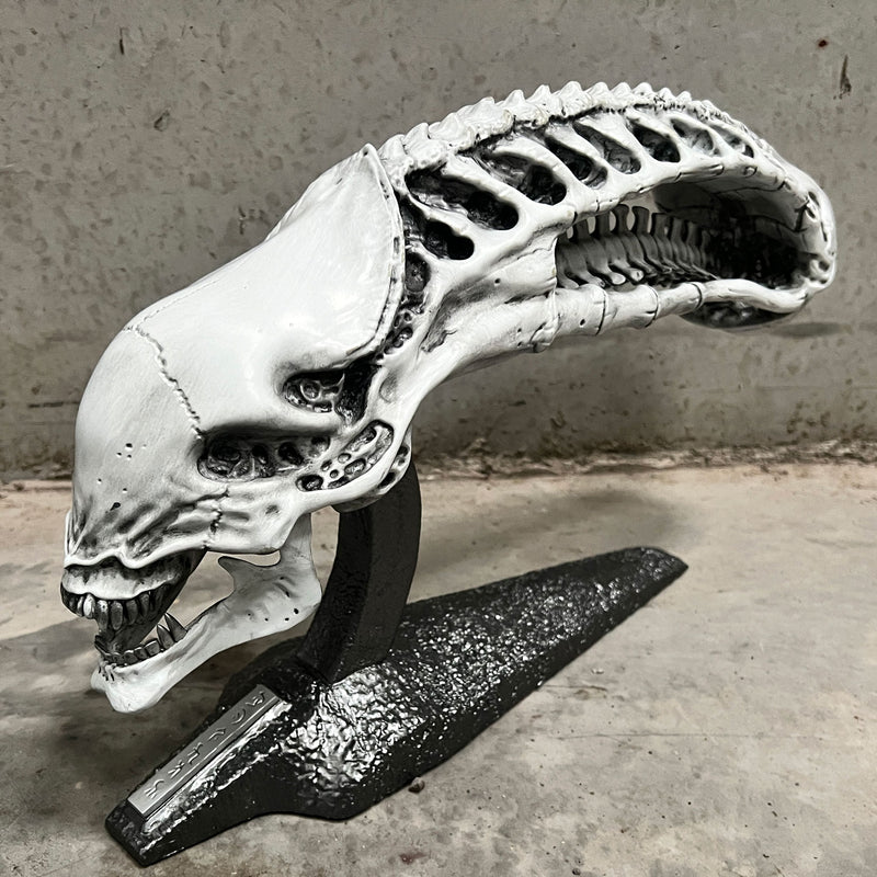 Predator 2 Trophy Room Xenomorph Skull