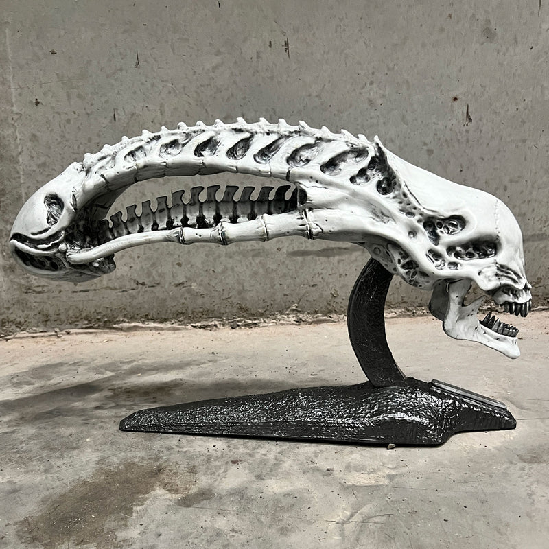 Predator 2 Trophy Room Xenomorph Skull