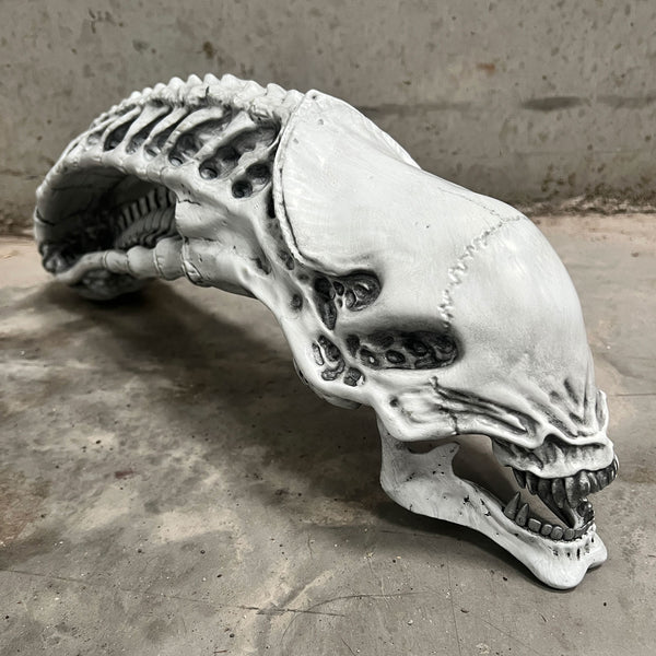 Predator 2 Trophy Room Xenomorph Skull